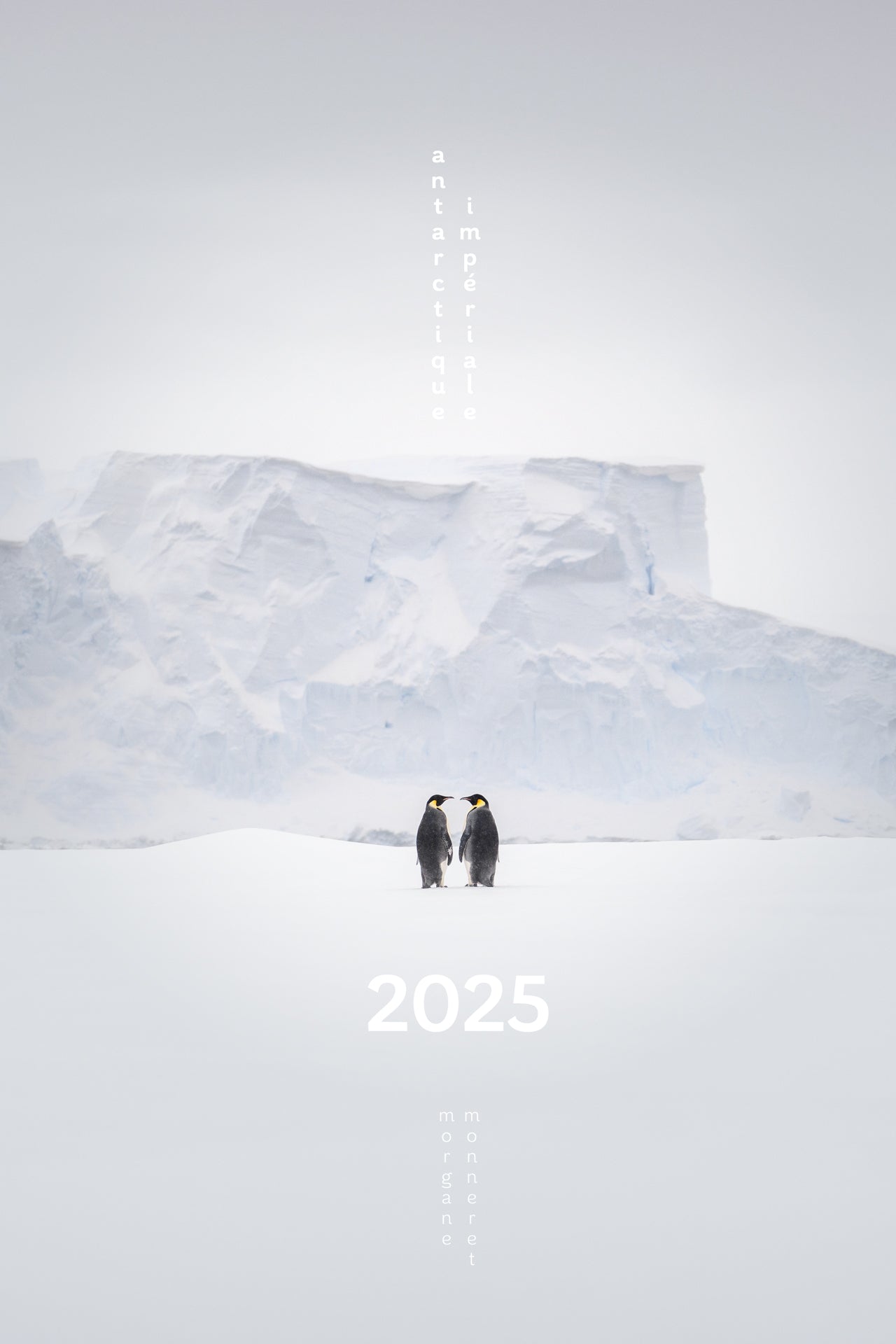 Antarctique Impériale Calendrier photos 2025