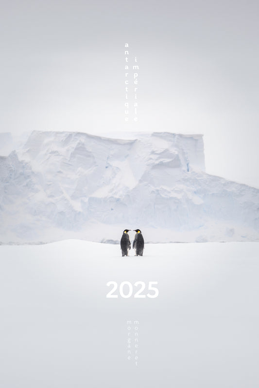 Antarctique Impériale Calendrier photos 2025